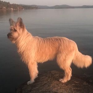 Meet your Posher, Karen